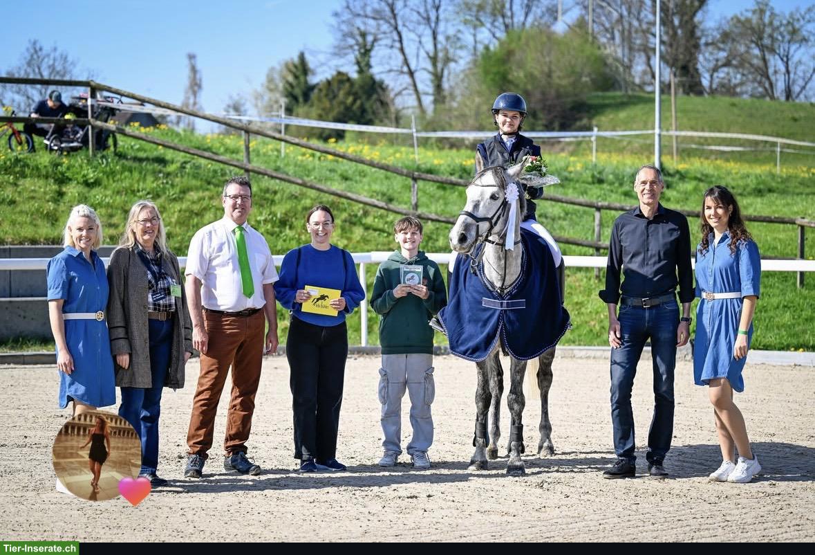 Bild 4: Reitbeteiligung auf Sportpferd gesucht, Raum Wil SG, Weinfelden TG