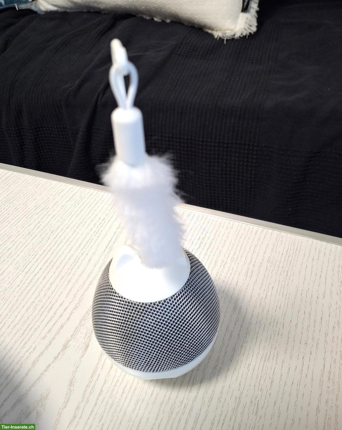 Bild 3: Katzenspielzeug Set interaktiv mit Laser & Kratzbrett