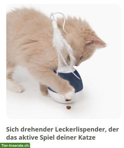 Bild 7: Katzenspielzeug Set interaktiv mit Laser & Kratzbrett