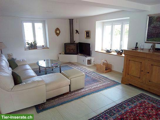 Bild 10: Wunderschöner Pferdehof mit 4 Boxen & Paddock im Schweizer Jura