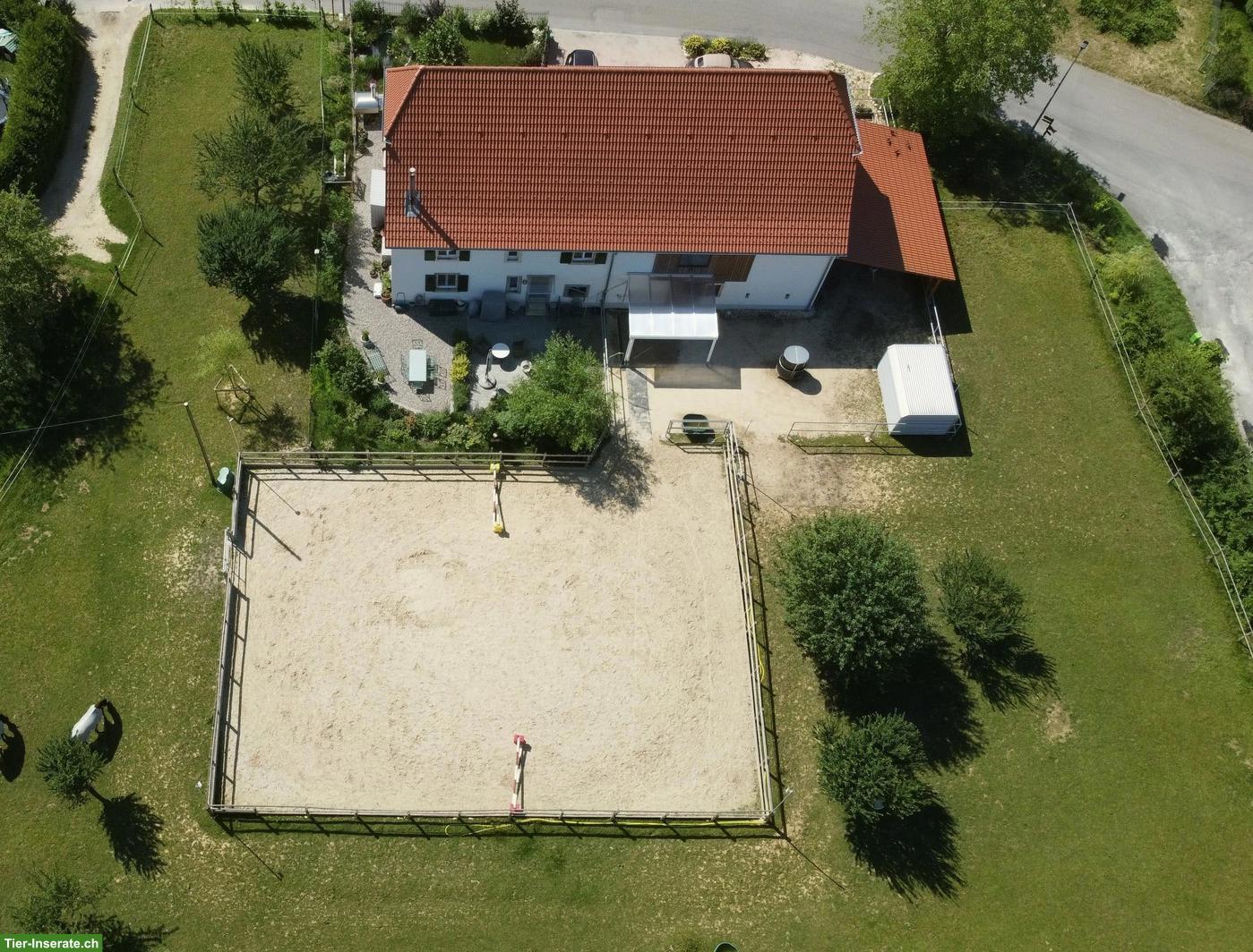 Bild 3: Wunderschöner Pferdehof mit 4 Boxen & Paddock im Schweizer Jura