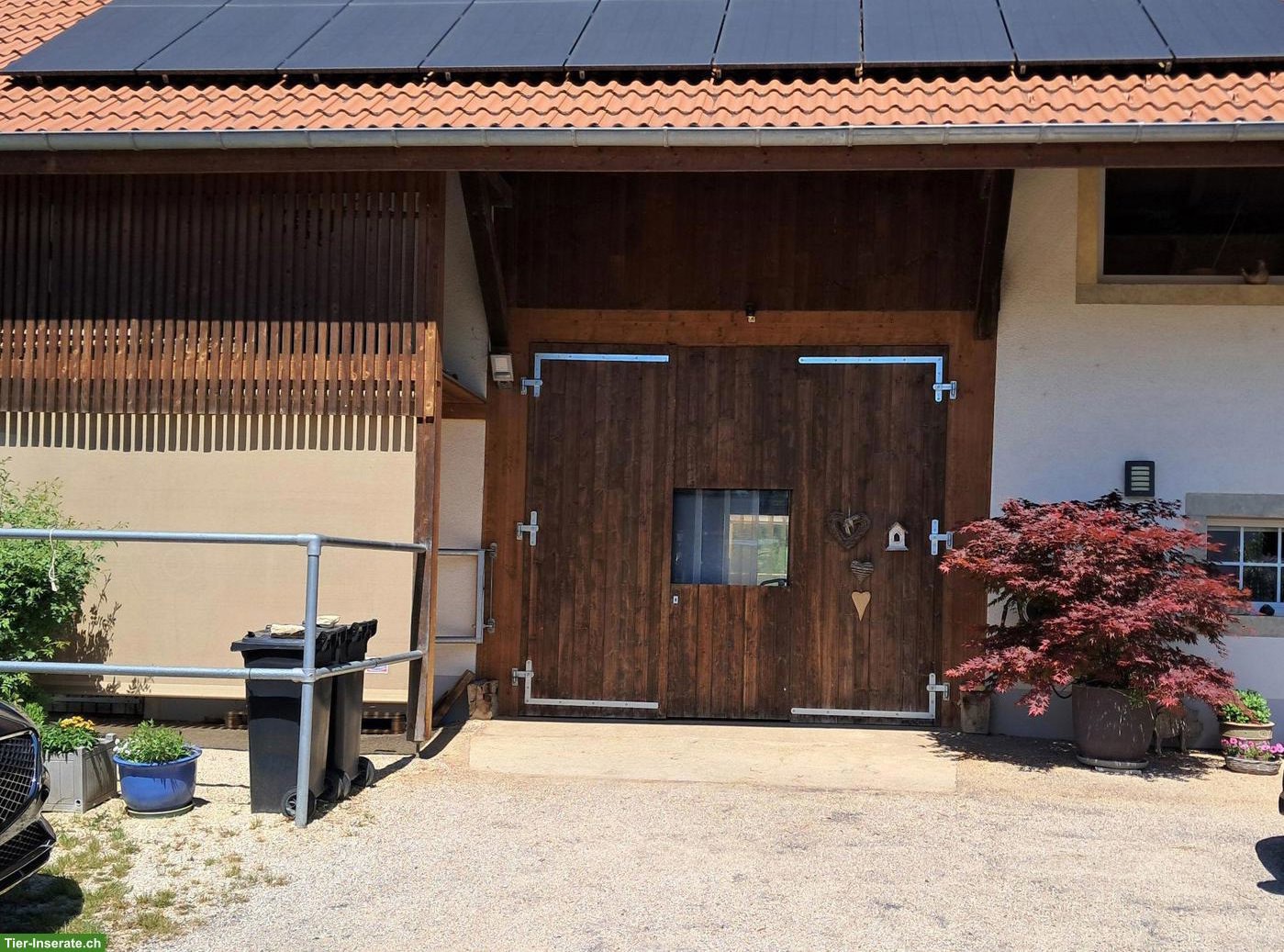 Bild 5: Wunderschöner Pferdehof mit 4 Boxen & Paddock im Schweizer Jura