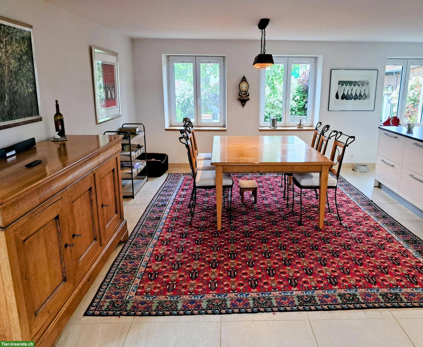 Bild 8: Wunderschöner Pferdehof mit 4 Boxen & Paddock im Schweizer Jura