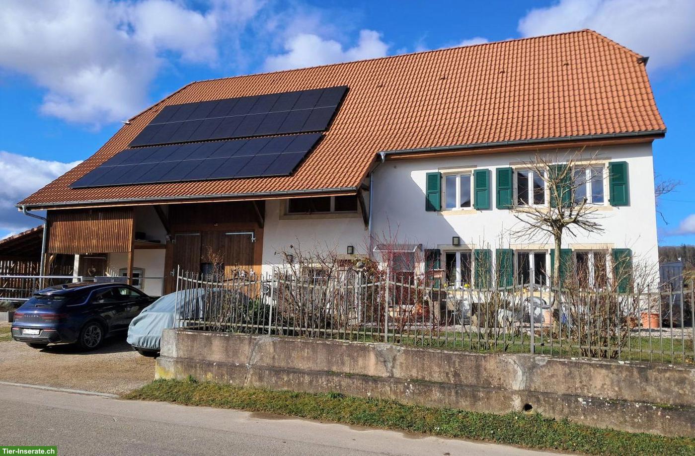 Bild 9: Wunderschöner Pferdehof mit 4 Boxen & Paddock im Schweizer Jura