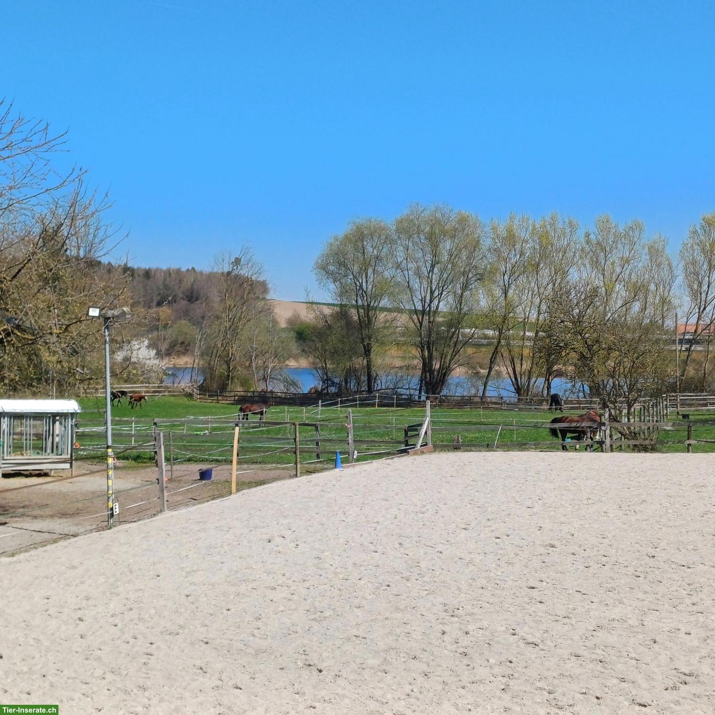 Bild 3: 1 Auslaufboxe zu vermieten in Moosseedorf BE