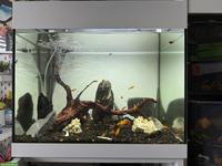 Aquarium Oase StyleLine 85 mit Unterschrank & viel Zubehör