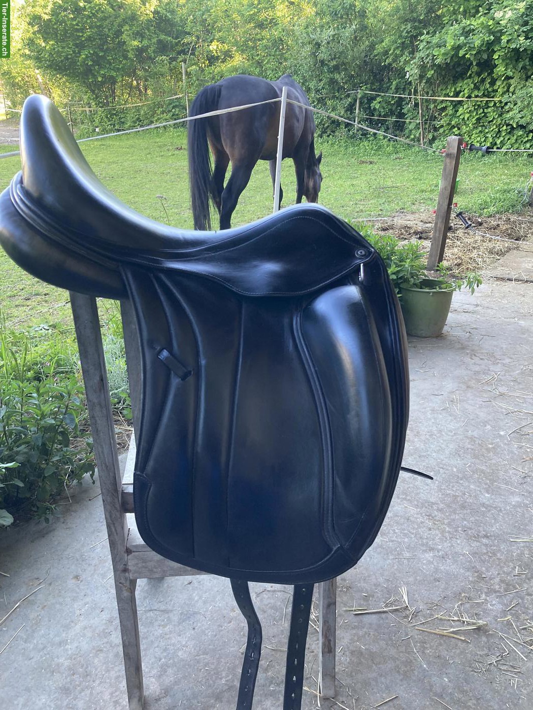 Bild 2: Dressursattel Selleria Equipe Viktoria 17.5 Zoll