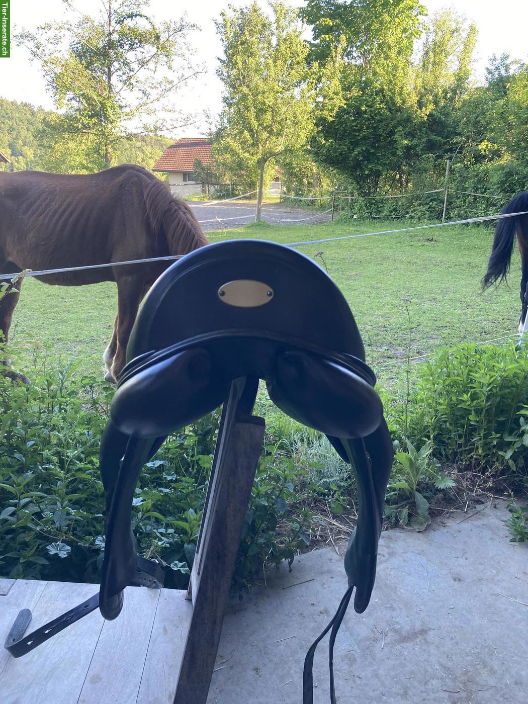 Bild 4: Dressursattel Selleria Equipe Viktoria 17.5 Zoll