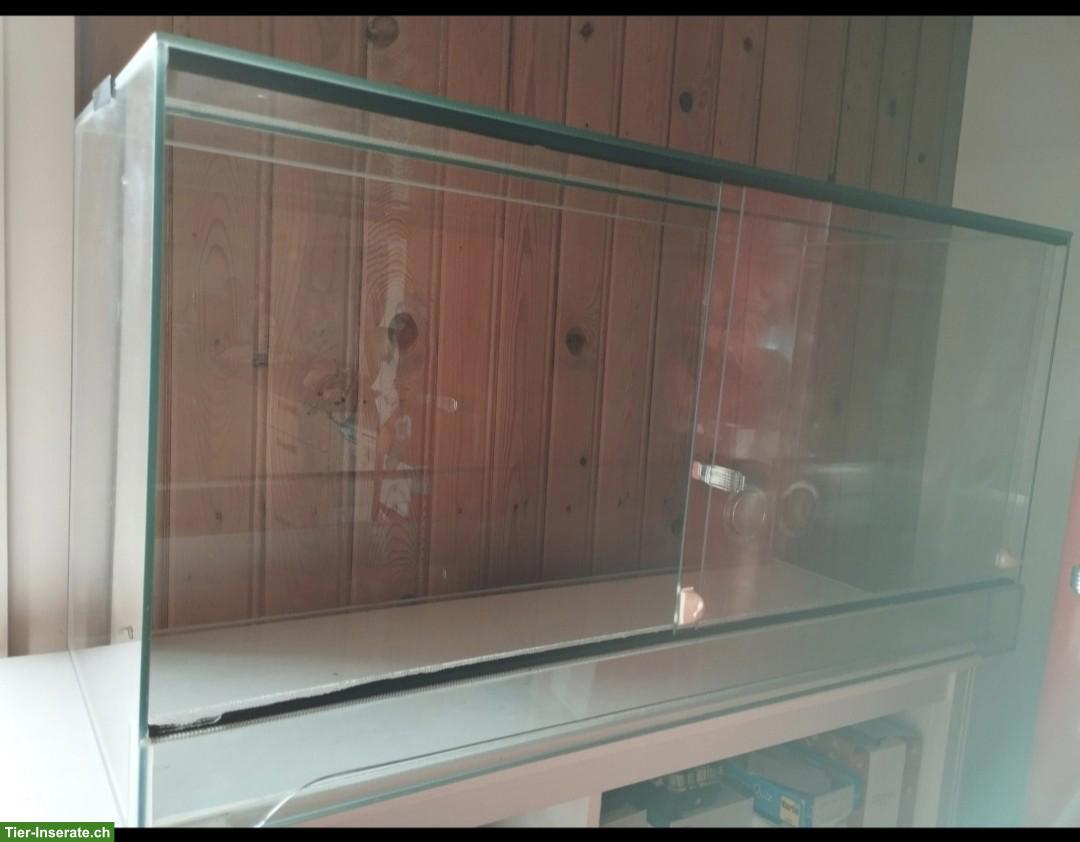 Glasterrarium mit Zubehör zu verkaufen