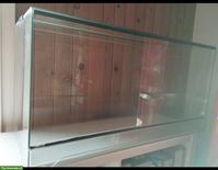 Glasterrarium mit Zubehör zu verkaufen