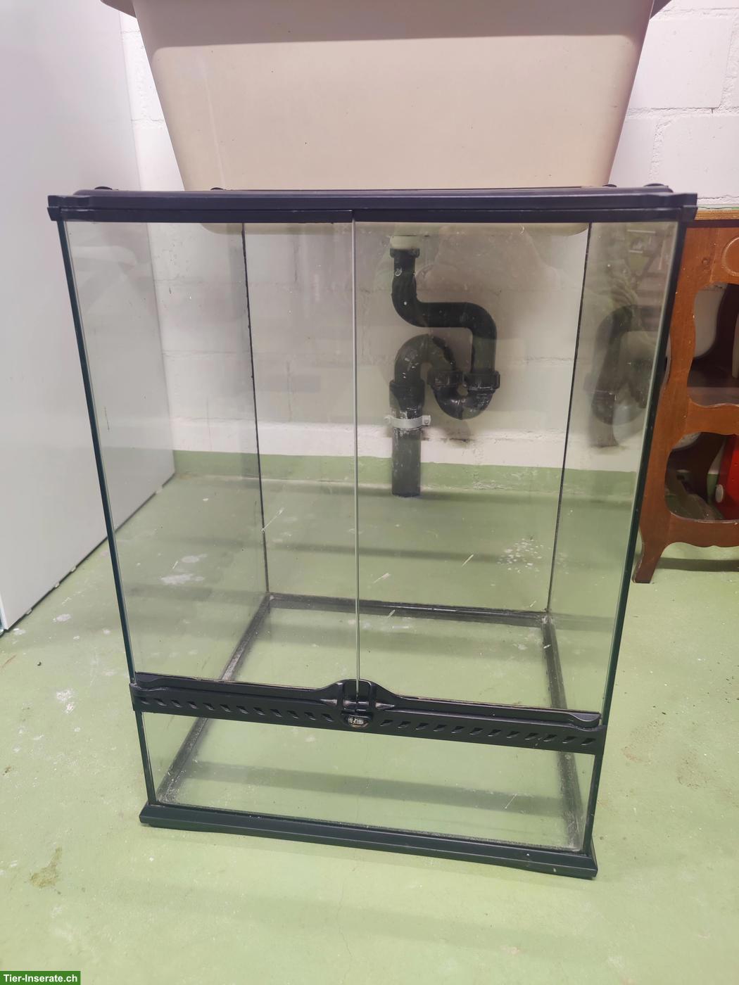 Exo Terra Terrarium 60*45*45cm zu verkaufen
