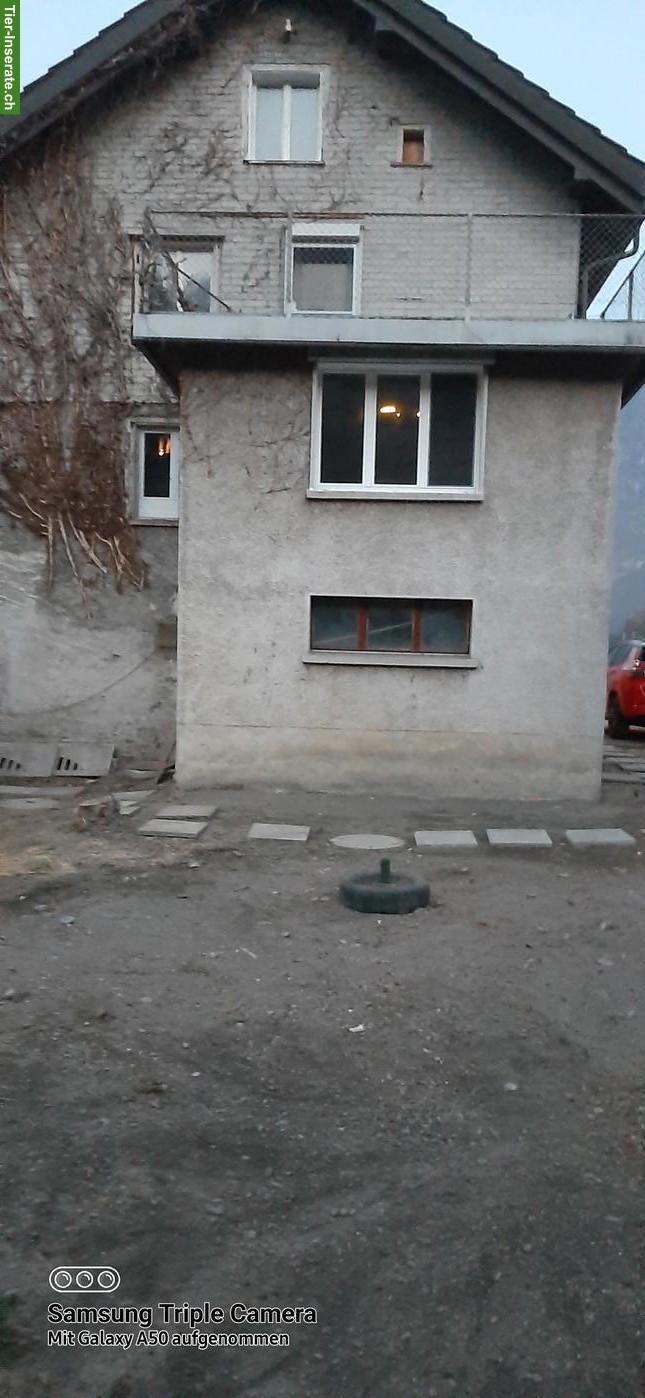 6 Zimmer Einfamilienhaus zu vermieten in 9476 Weite SG
