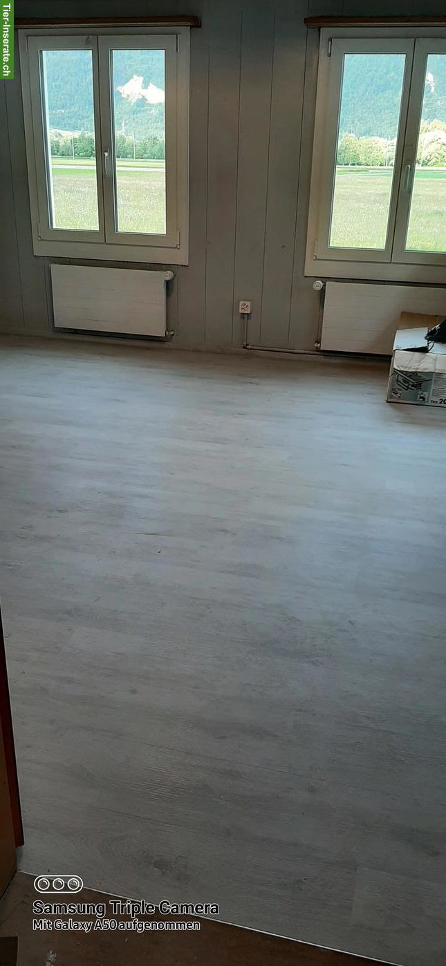 Bild 3: 6 Zimmer Einfamilienhaus zu vermieten in 9476 Weite SG