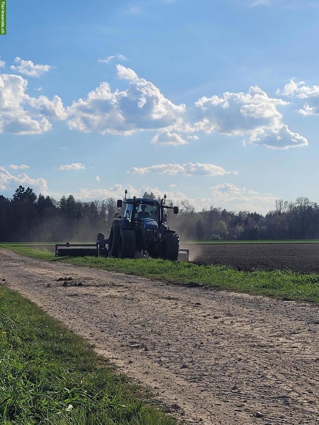 Junge schweizer Familie sucht Landwirtschaftsbetrieb/Bauernhof