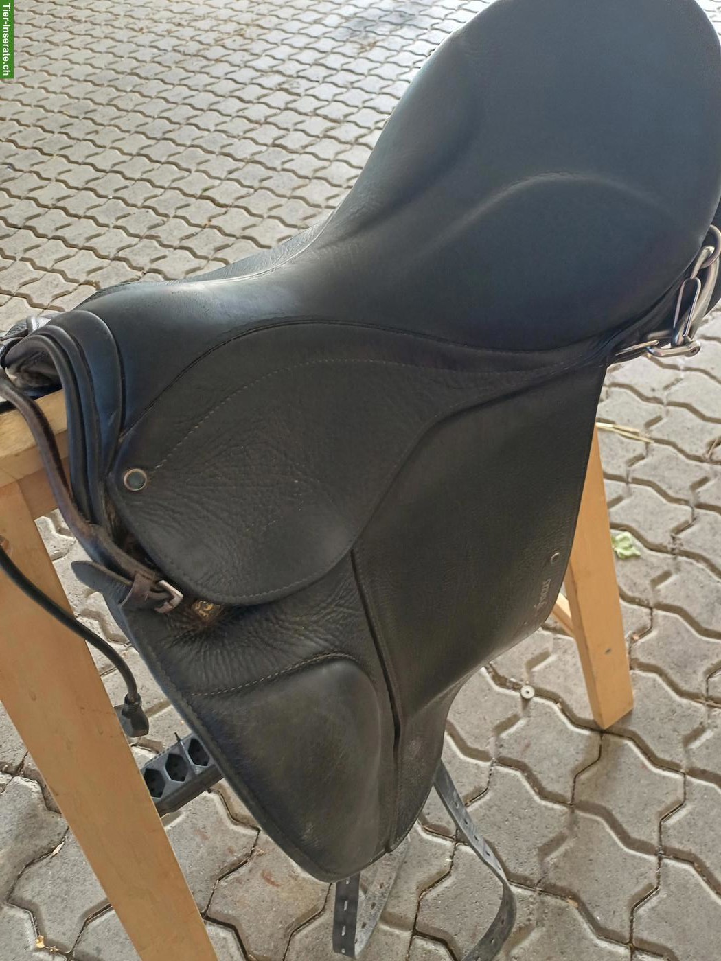 Isländer Stübben Sattel Focus zu verkaufen