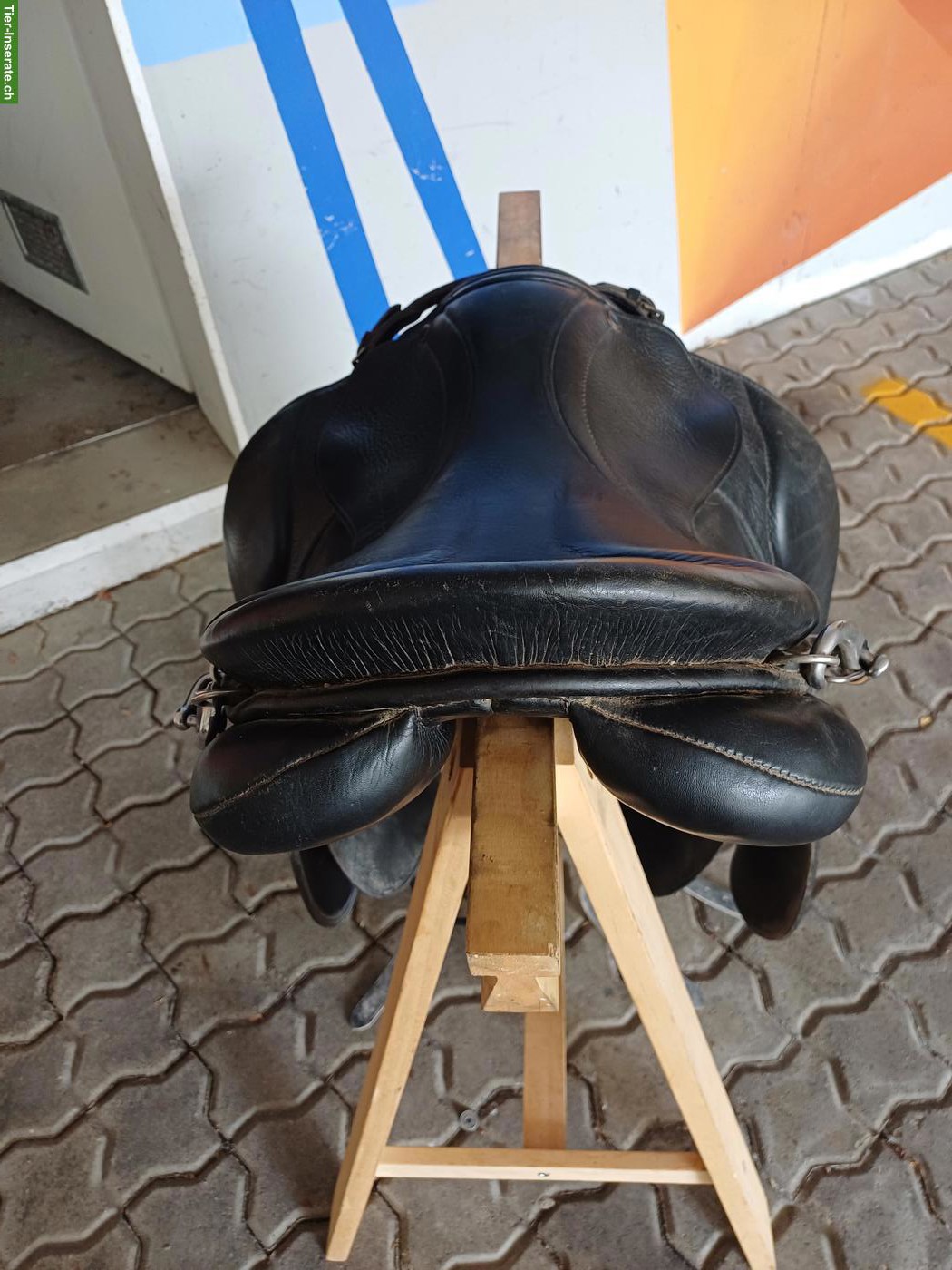 Bild 4: Isländer Stübben Sattel Focus zu verkaufen