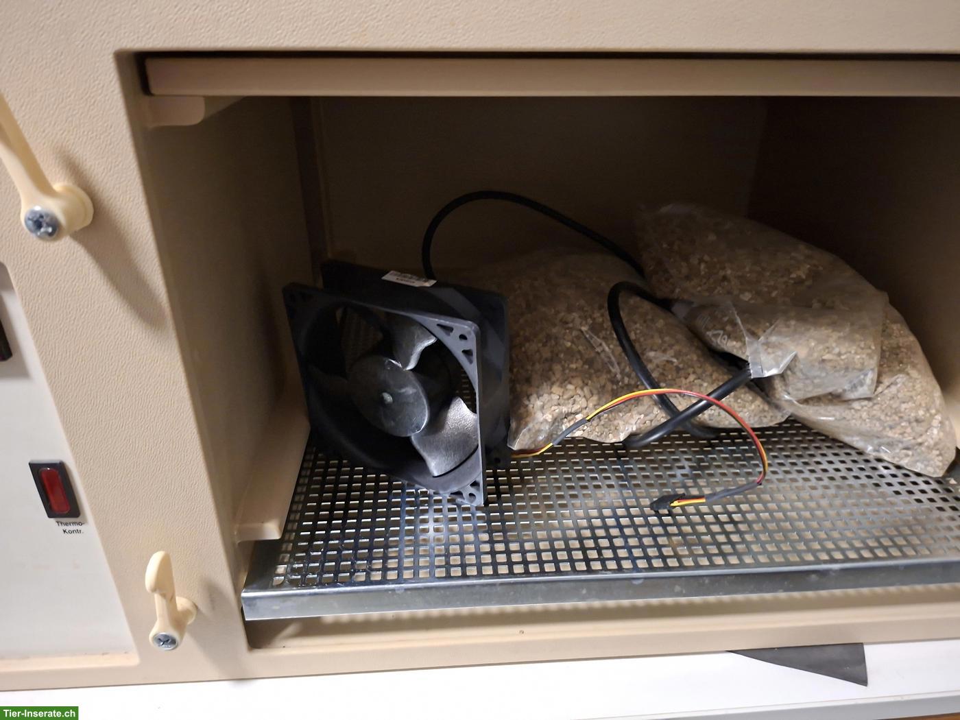 Bild 3: Grumbach Inkubator Compact SR zu verkaufen