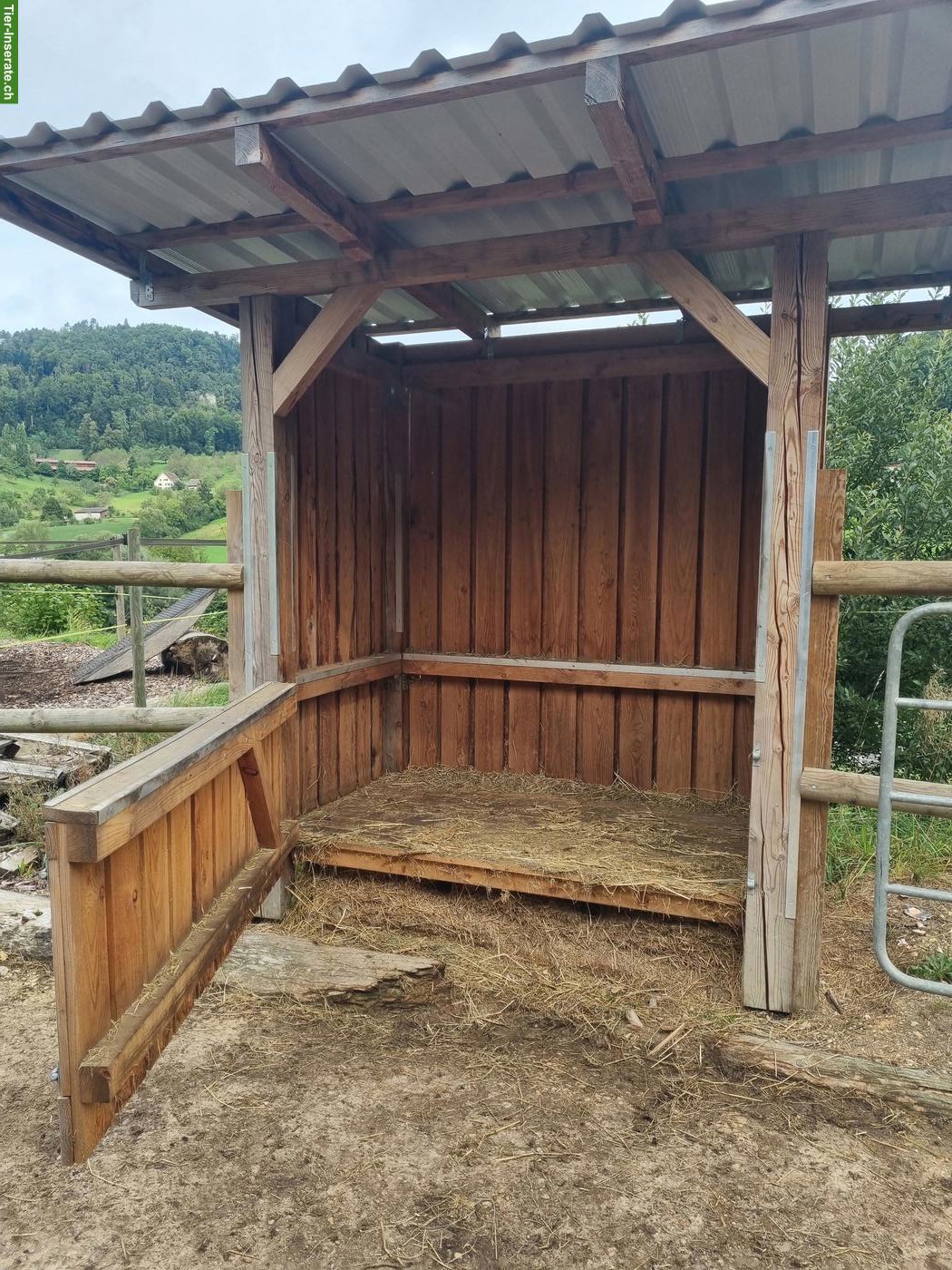 Heuraufen von Skandwood zu verkaufen