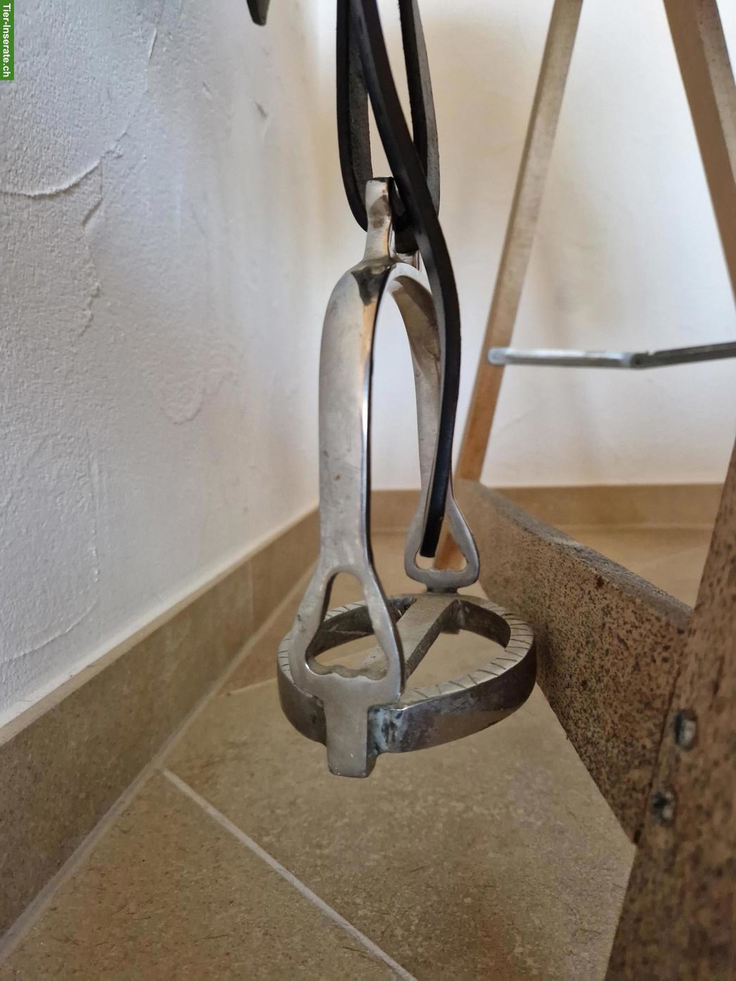 Bild 3: Barocksattel Ludomar zu verkaufen