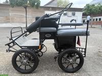 Wunderschöne Glinkowski Mini-Shetty Wagonette