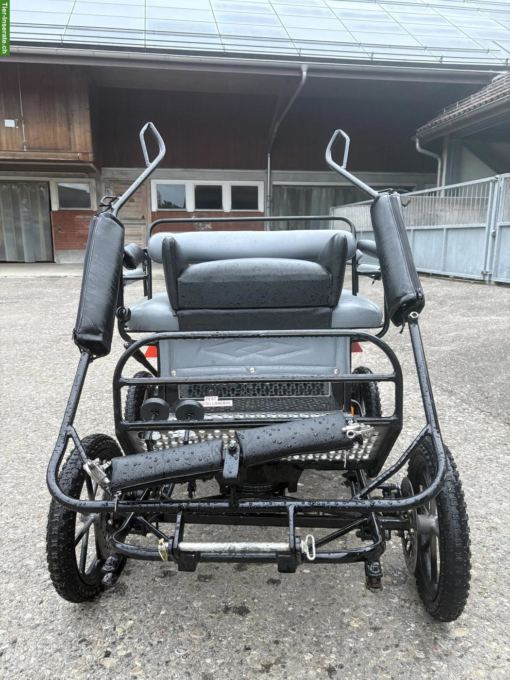 Bild 2: Wunderschöne Glinkowski Mini-Shetty Wagonette