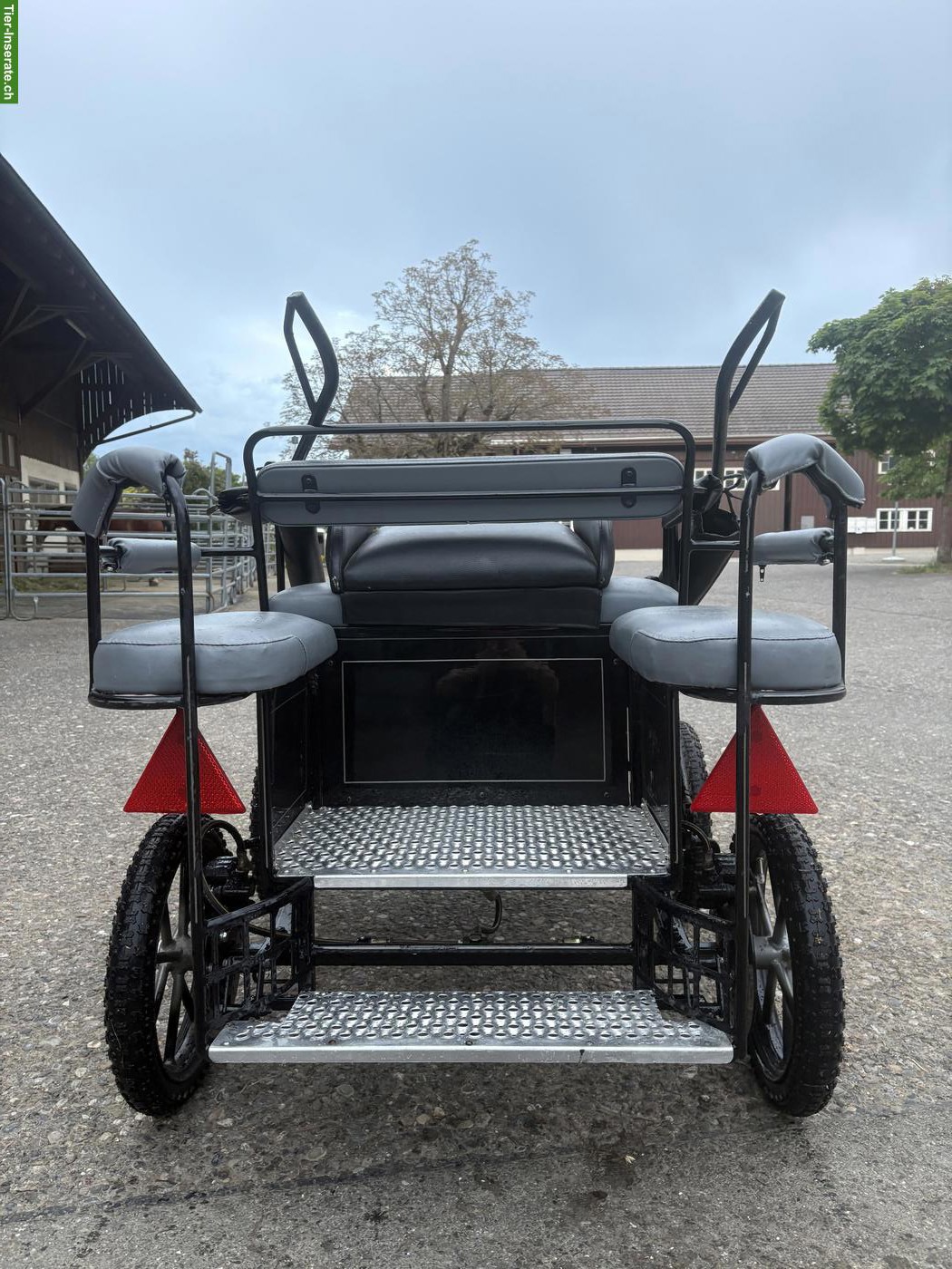Bild 3: Wunderschöne Glinkowski Mini-Shetty Wagonette
