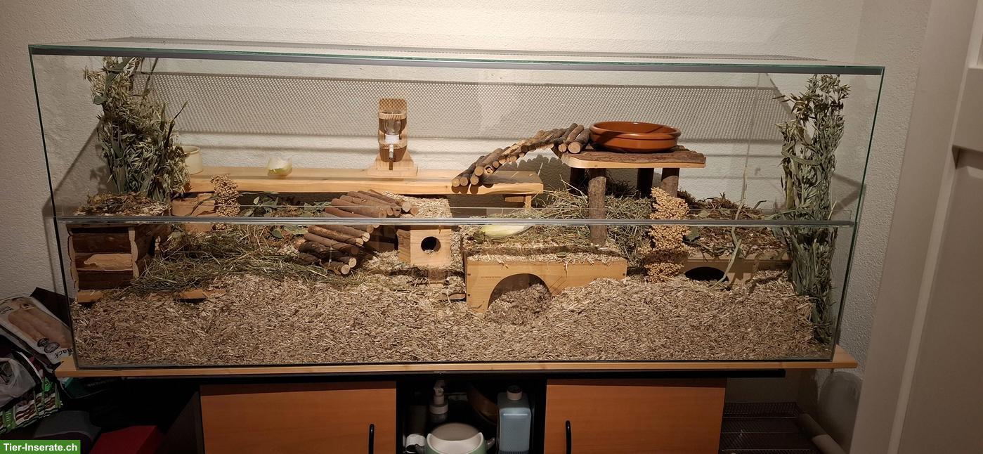 Nagerterrarien optional mit Unterschrank