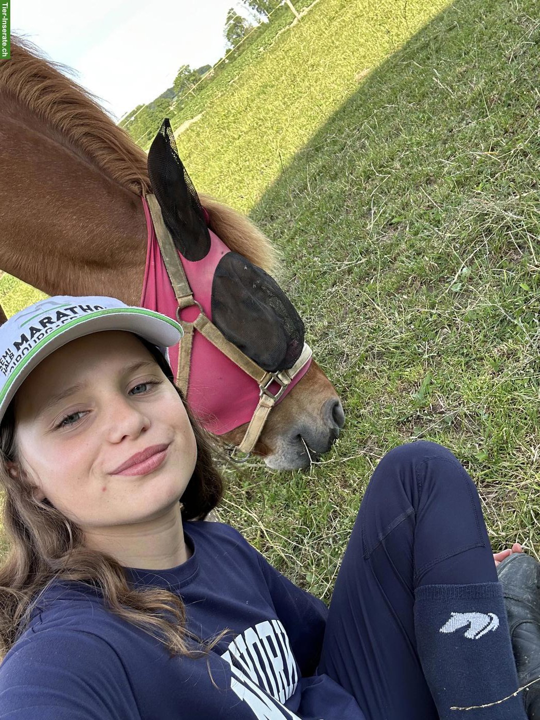 Liebe Reitbeteiligung 🐎 gesucht, Region Murten FR