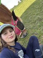 Liebe Reitbeteiligung 🐎 gesucht, Region Murten FR