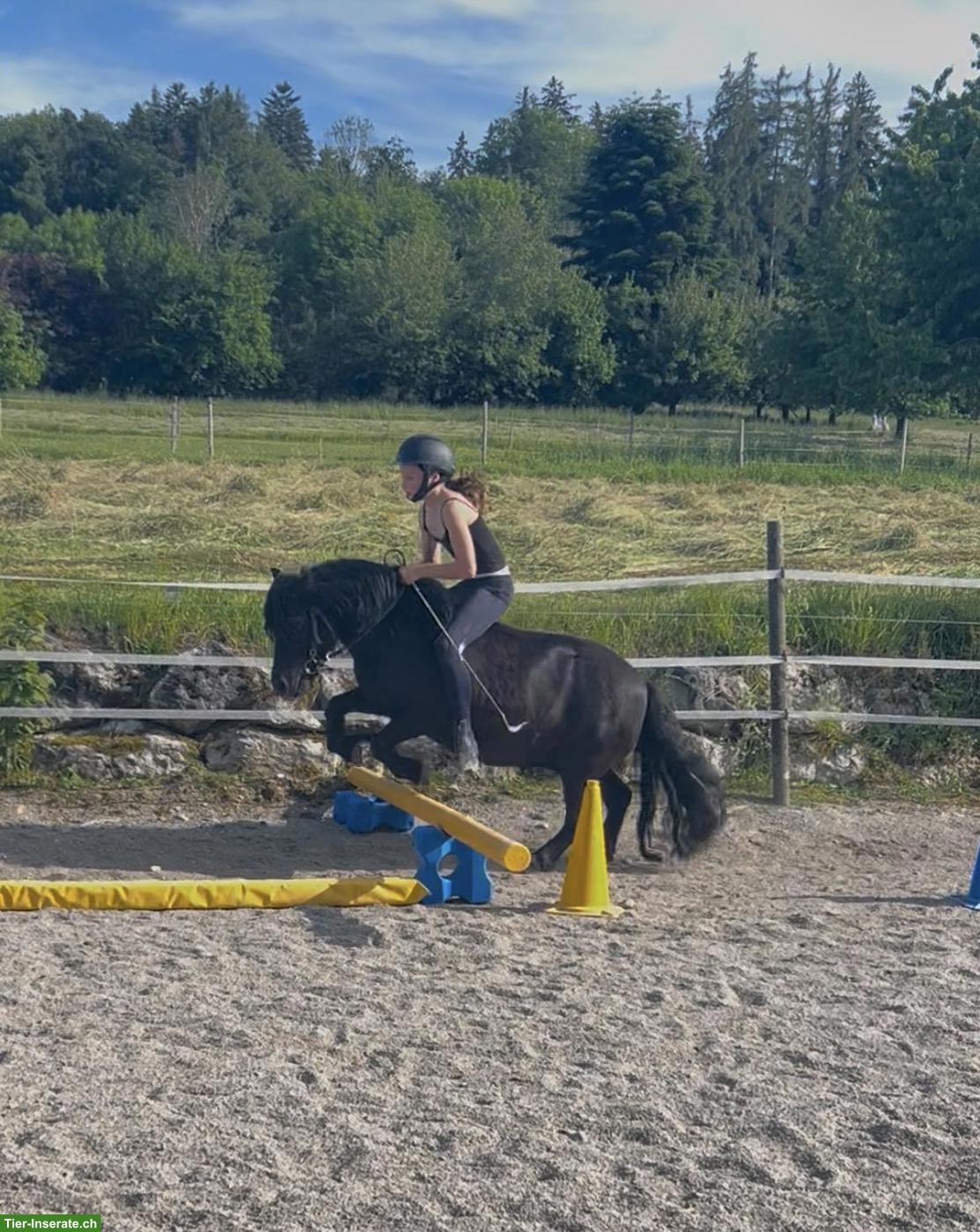 Bild 2: Liebe Reitbeteiligung 🐎 gesucht, Region Murten FR
