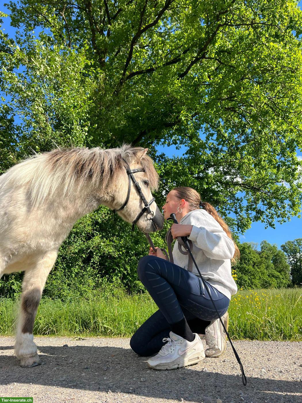 Suche Reitbeteiligung in der Nähe von Erlen TG