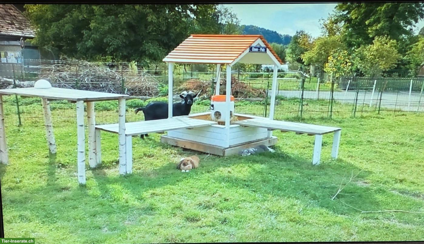 Bild 5: Biete: Handwerk & Zuverlässigkeit für Tierheim, 40-60%