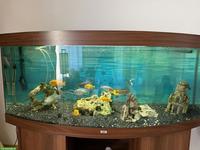 Juwel Aquarium Komplettset mit Unterschrank