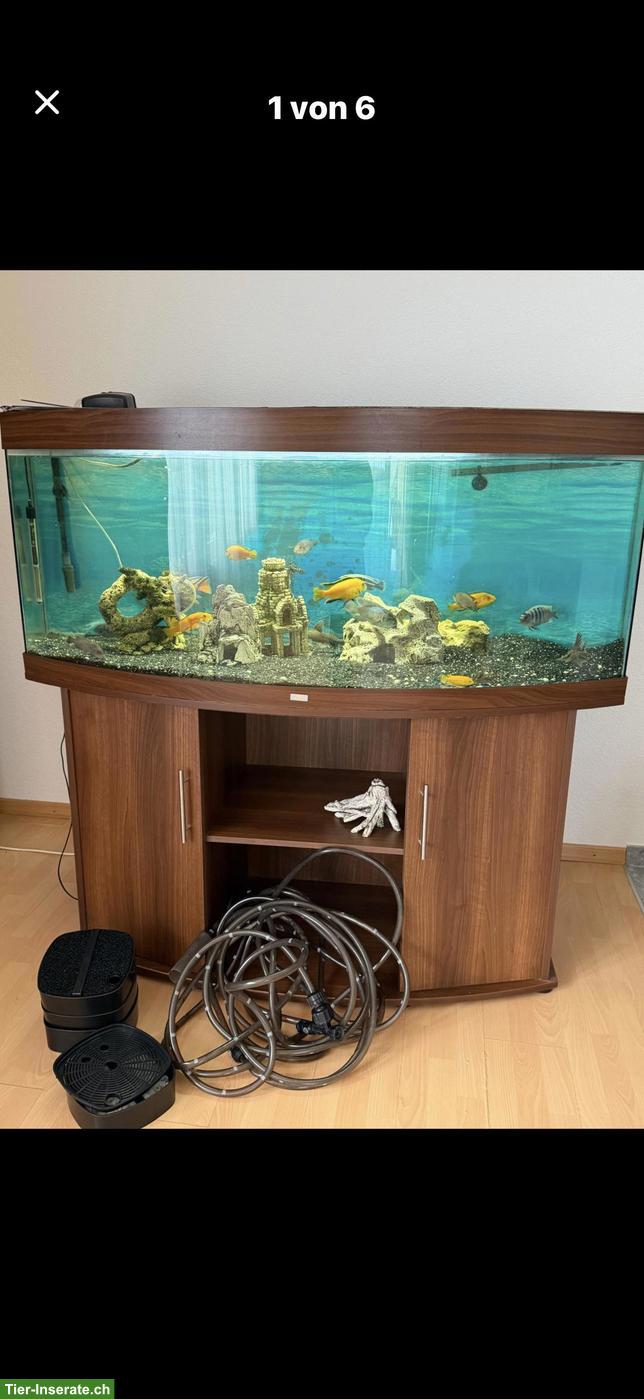 Bild 2: Juwel Aquarium Komplettset mit Unterschrank