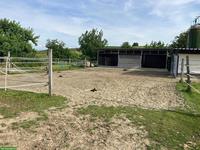 Platz für Stuten oder Wallache in Offenstall Uettligen BE