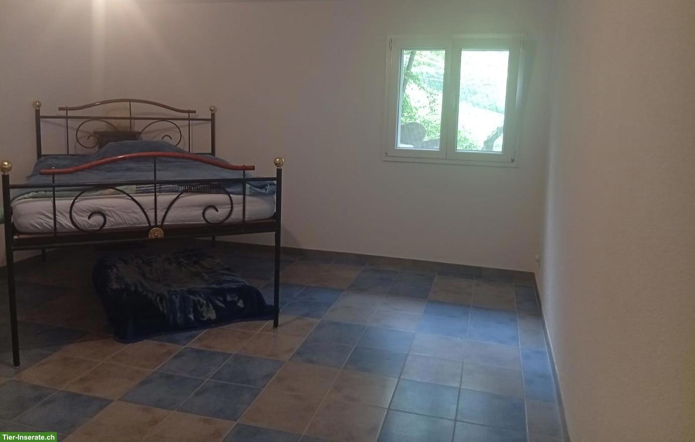 Bild 6: Schöne Einliegerwohnung auf Lebenshof im Jura zu vermieten