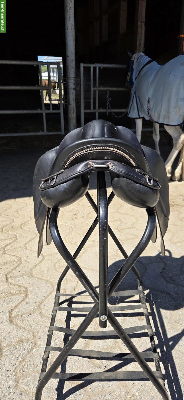 Bild 3: Kurzer Althaus Dressursattel 17.5 Zoll zu verkaufen