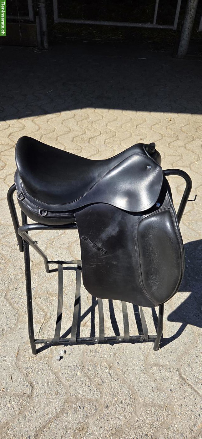 Bild 4: Kurzer Althaus Dressursattel 17.5 Zoll zu verkaufen