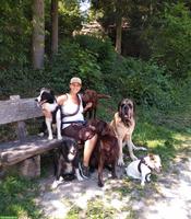 Hundebetreuung Marybo - Tagesbetreuung für Hunde in Wohlenschwil AG