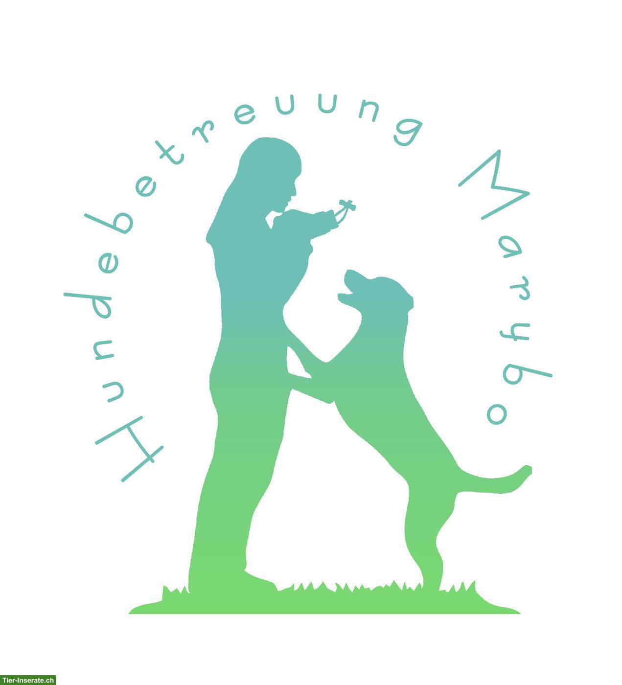 Bild 2: Hundebetreuung Marybo - Tagesbetreuung für Hunde in Wohlenschwil AG