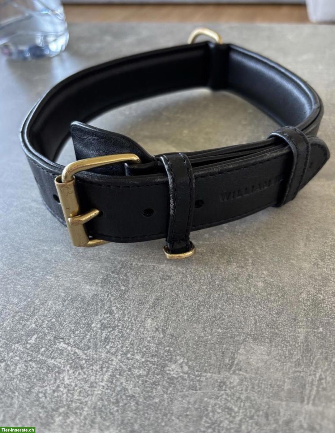 William Walker Leder-Hundeset: Leine & Halsband, schwarz