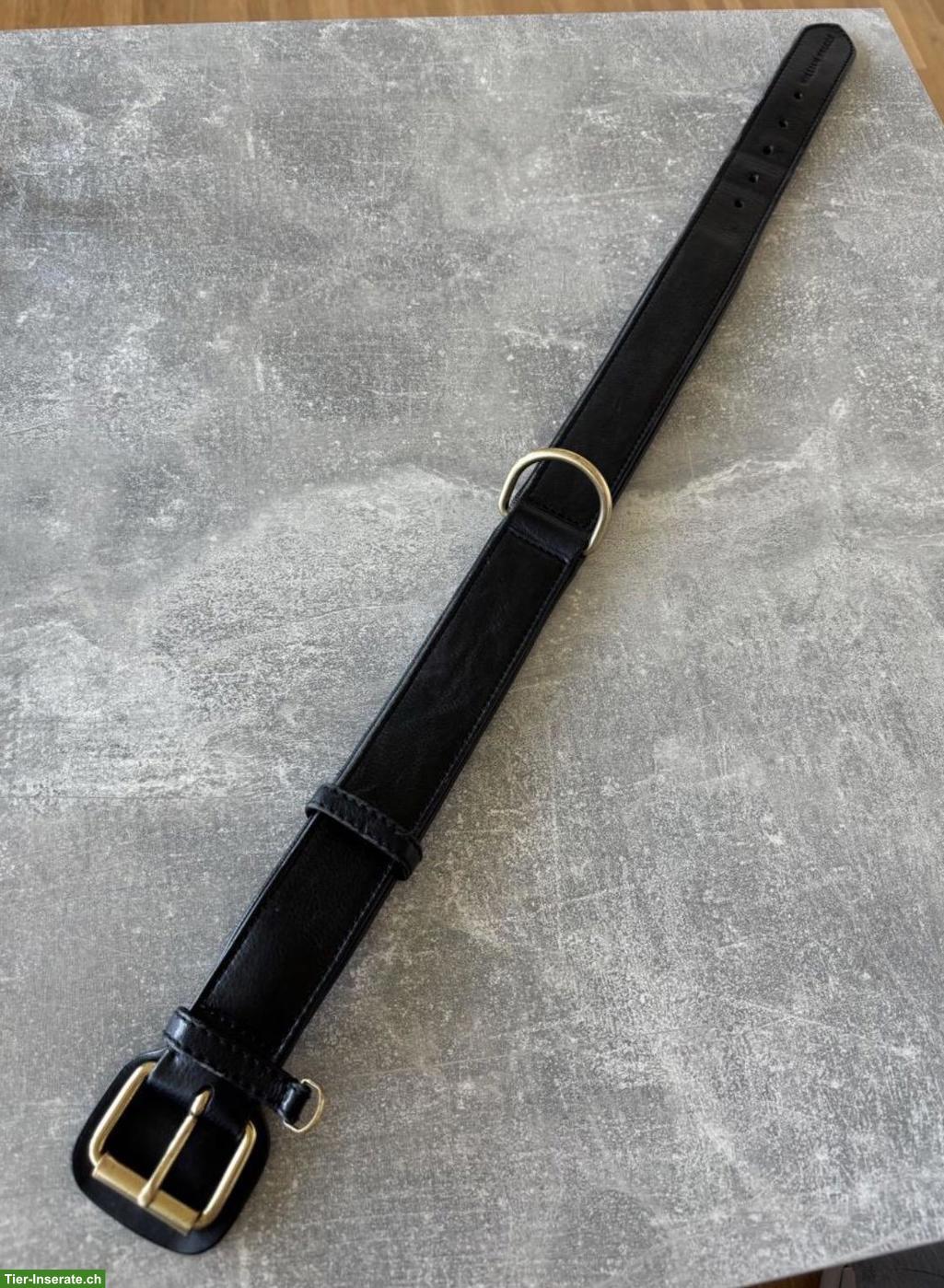 Bild 2: William Walker Leder-Hundeset: Leine & Halsband, schwarz