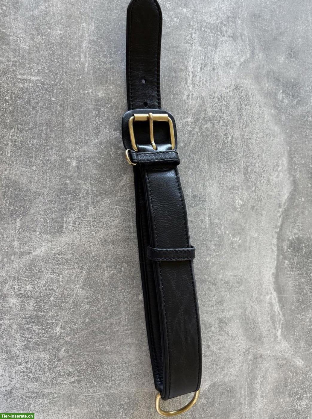 Bild 3: William Walker Leder-Hundeset: Leine & Halsband, schwarz