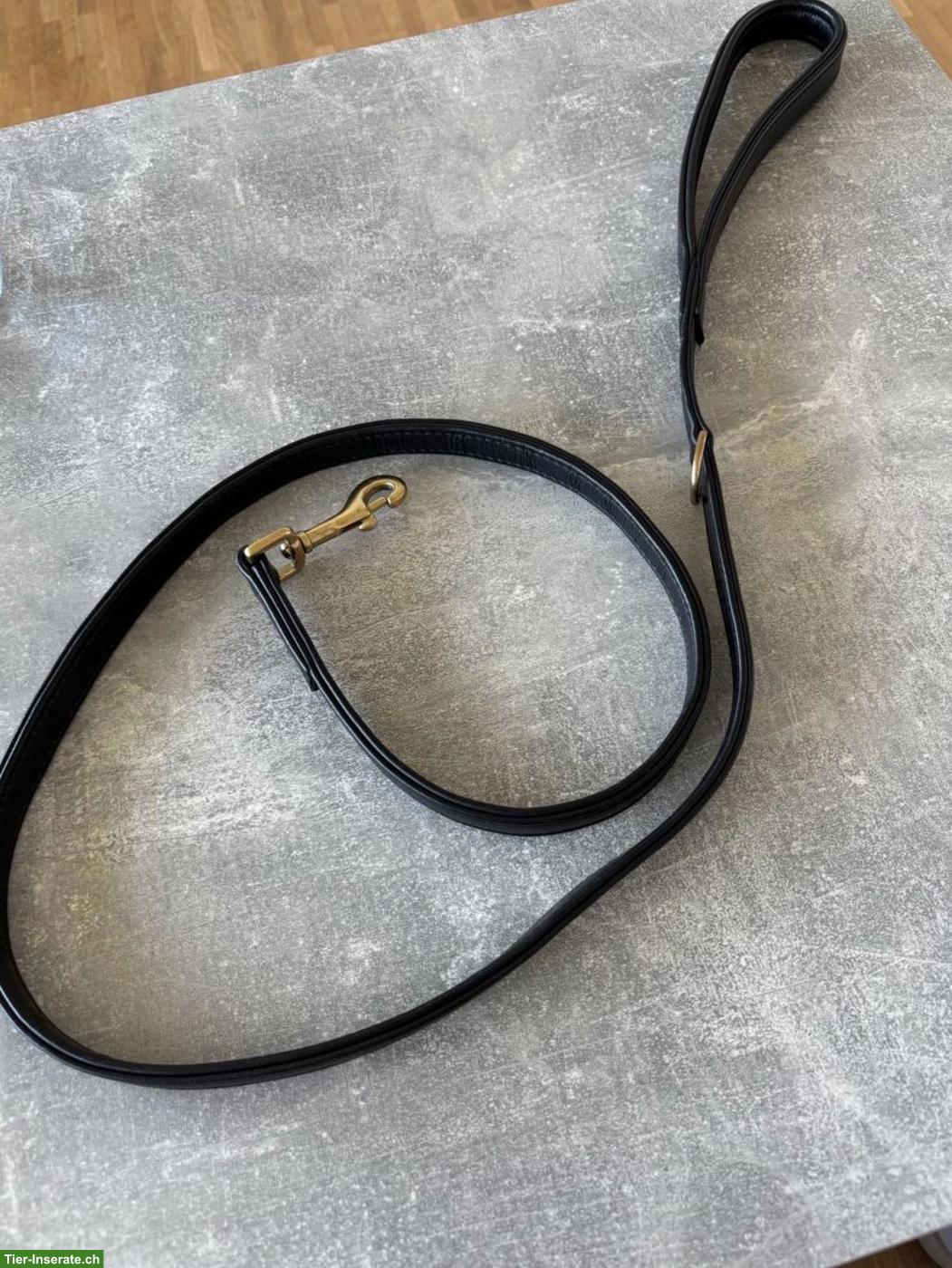 Bild 5: William Walker Leder-Hundeset: Leine & Halsband, schwarz