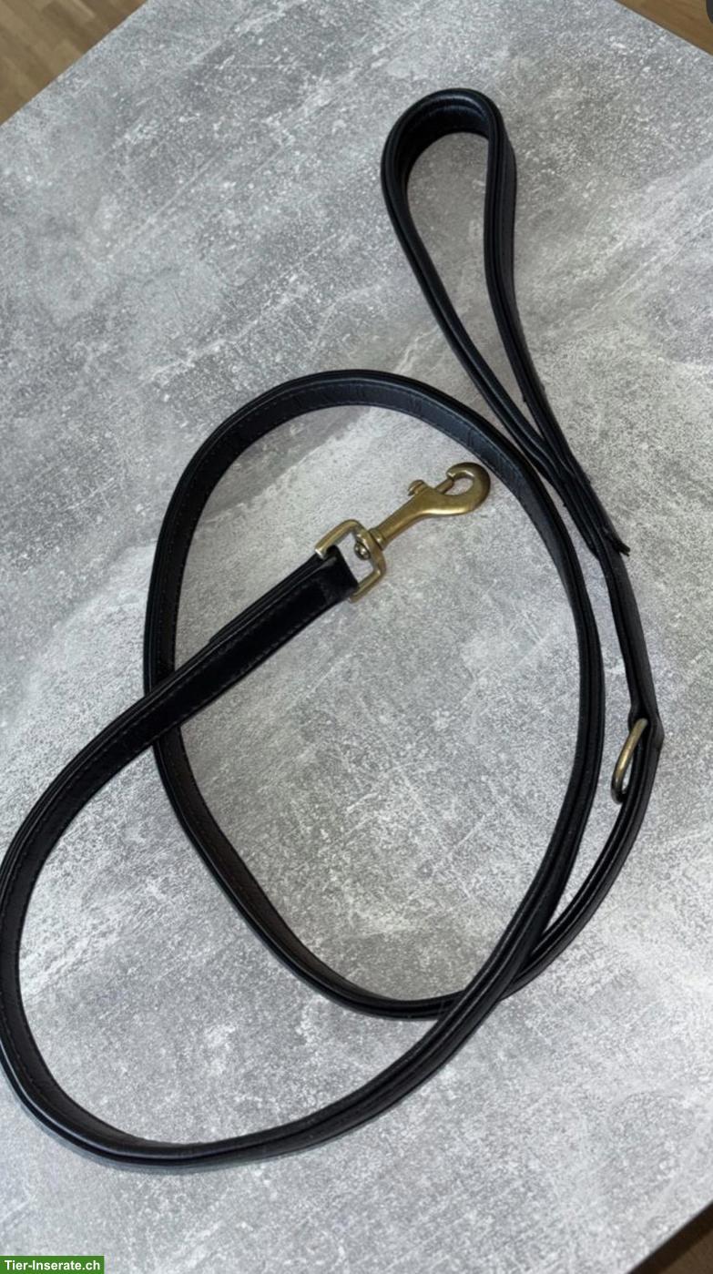 Bild 6: William Walker Leder-Hundeset: Leine & Halsband, schwarz