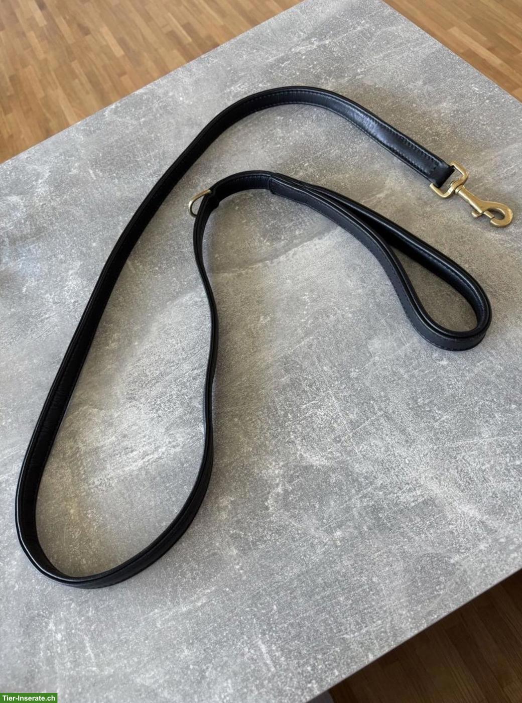 Bild 7: William Walker Leder-Hundeset: Leine & Halsband, schwarz