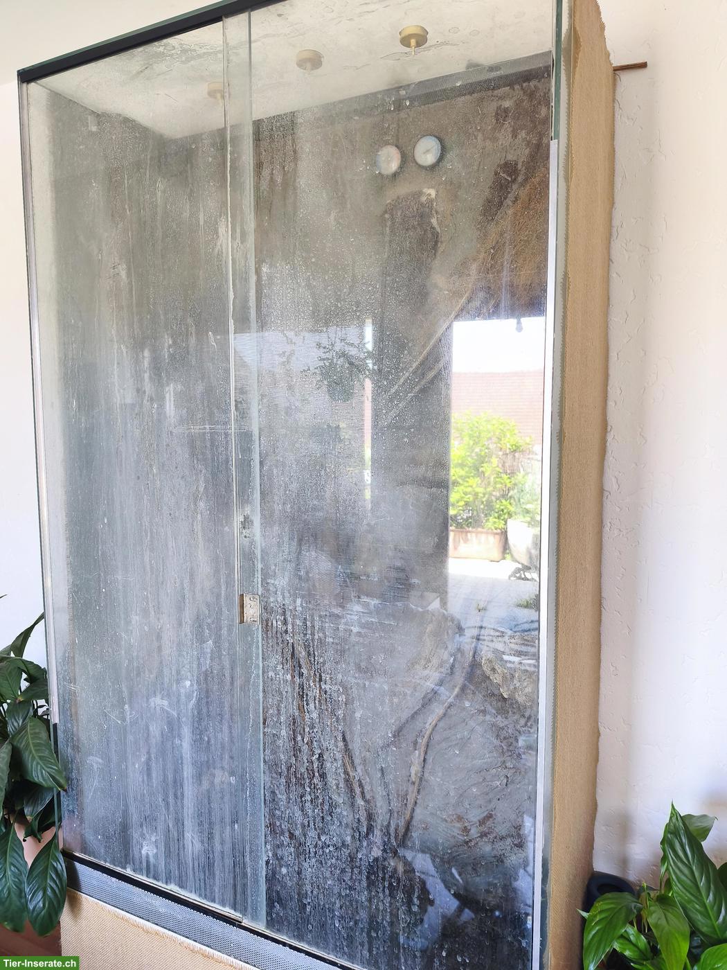 Gratis Glasterrarium für Bastler