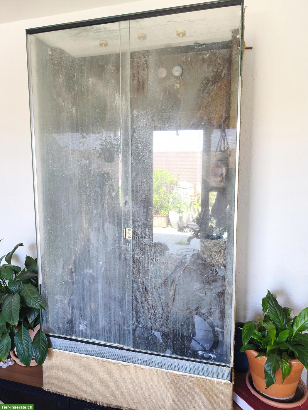 Bild 2: Gratis Glasterrarium für Bastler