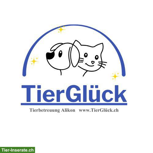 Hundebetreuung bei TierGlück | Region Alikon im Aargau