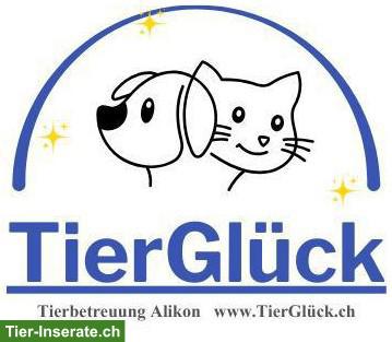 Katzenbetreuung bei TierGlück in der Region Alikon AG